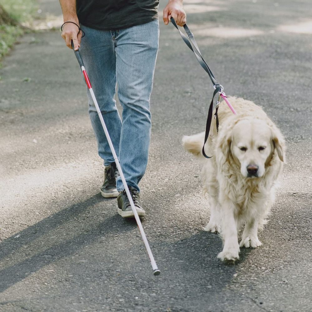 アルミ合金製盲人用杖 反射材付き滑り止めグリップ ハイキング - Trekking Poles のレビューと価格